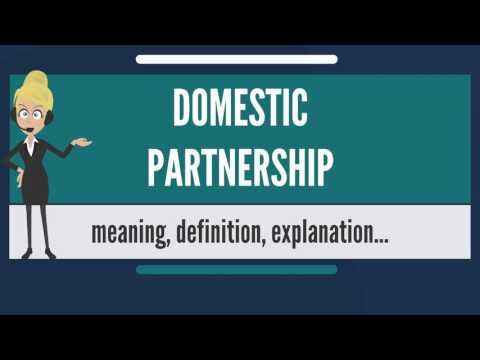 domestic partnership taxes