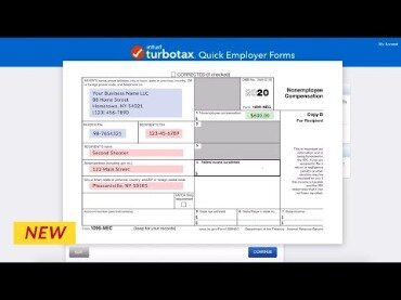 does turbo tax business and home include form 1065