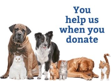 animal shelter donations tax deductible