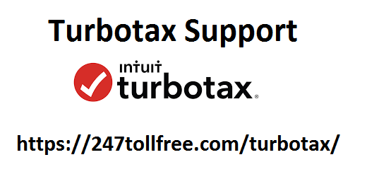 turbotax expert services