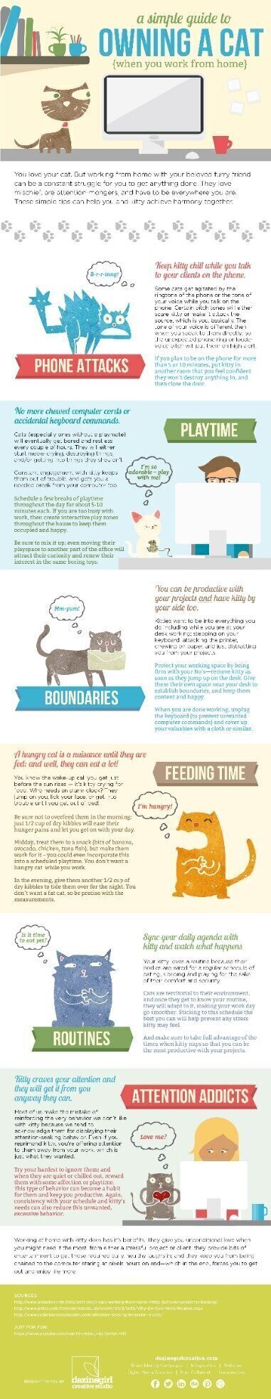cat infographic