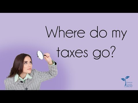 where do my taxes go