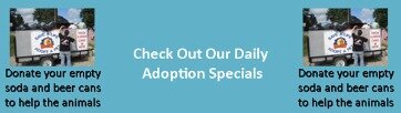 adoption credit 2012